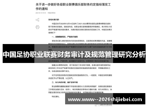 中国足协职业联赛财务审计及规范管理研究分析