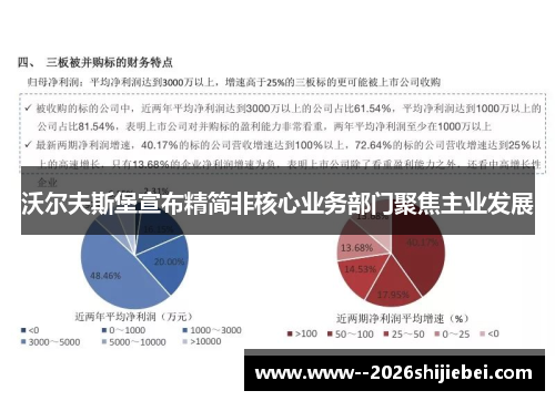 沃尔夫斯堡宣布精简非核心业务部门聚焦主业发展
