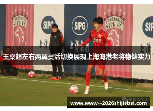 王燊超左右两翼灵活切换展现上海海港老将稳健实力 王燊超左右两翼灵活切换展现上海海港老将稳健实力